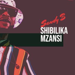 Shibilika Mzansi
