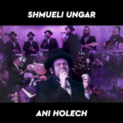 Ani Holech