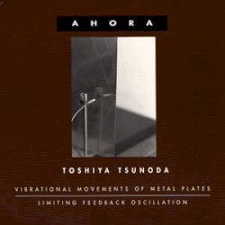 Vibrational Movements of Metal Plates / Limiting Feedback Oscillation