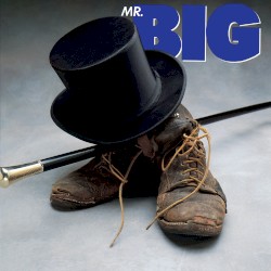 Mr. Big