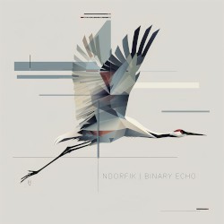 Binary Echo