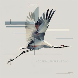 Binary Echo