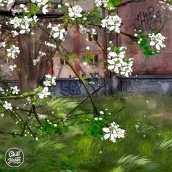 Spring Patterns