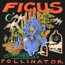 Pollinator