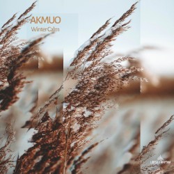 Winter Calm