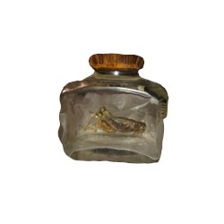 Claustrophobigrasshopper