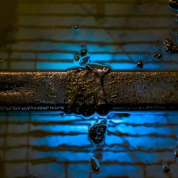 Bird and Truck Collision II