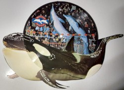 Kom en kijk in Harderwijk