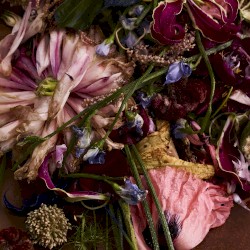 She Has All Kinds of Temperatures / Rodeo