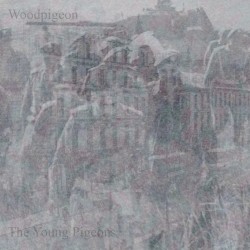 Woodpigeon