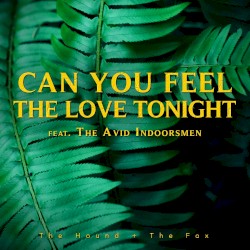 Can You Feel The Love Tonight