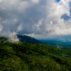 As You Sow, So Shall You Reap