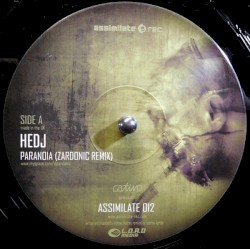 Paranoia (Zardonic Remix) / Subliminal