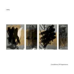 Conditions of Experience