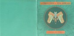 Chinese Butterfly