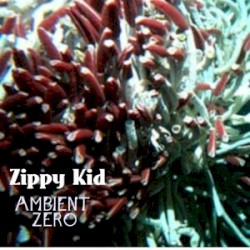 Ambient Zero