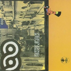 A Flat Inside a Fog: The Cat That Was a Dog