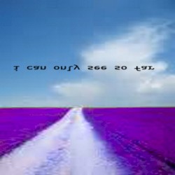 00000000000000000000000026