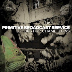 Colors for Chameleons