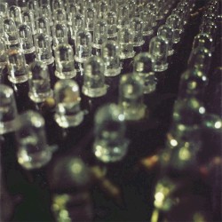 Dystopian Vector: Part Three (Serfin' Safari)