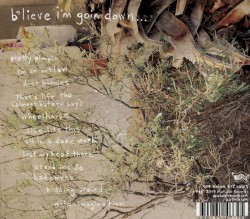 b’lieve i’m goin down…