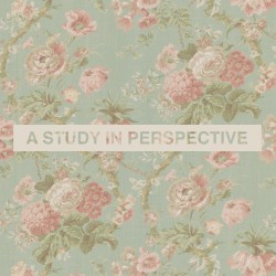 A Study in Perspective