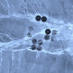 Visitor und Grāmatā