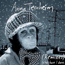 What Have I Done (remixes)