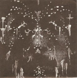 Basement Ghost / Castle EVP