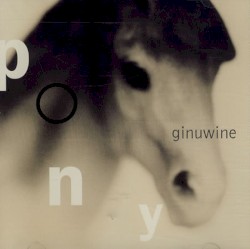 Pony