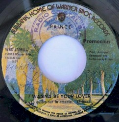 I Wanna Be Your Lover