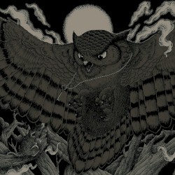 Stare Down the Undefeated