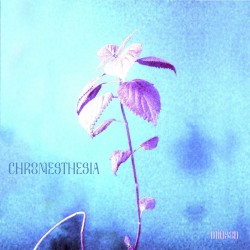 Chromesthesia