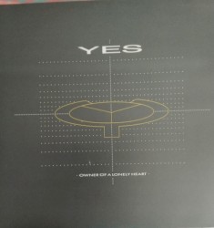 Owner of a Lonely Heart