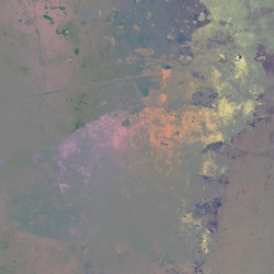 la repentance du chat