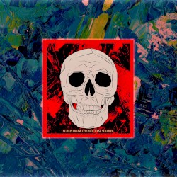 Echos from the Suicidal Soldier