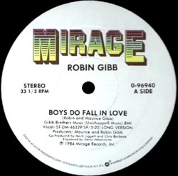 Boys Do Fall in Love