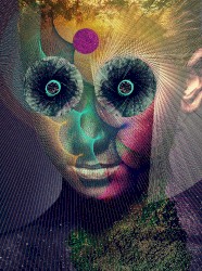 The Insulated World
