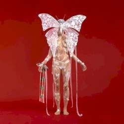 The Silence & The Storm