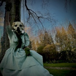 Photographs Volume 2