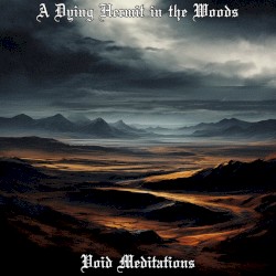 Void Meditations