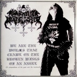 We Are the Worms That Crawl on the Broken Wings of an Angel