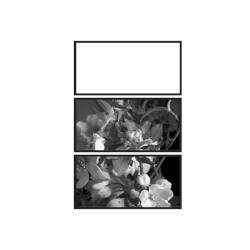 Ballade for a Flower Moon