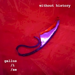 Gallus/i/ae