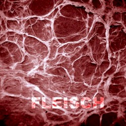 Fleisch