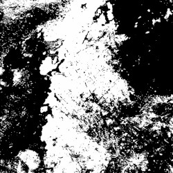 Life at the Cost of All