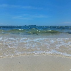 Ride the Wave Part Two