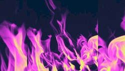 The Instrumental Experience