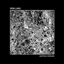 Adapting // Crawling