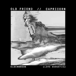 Old Friend / Capricorn (live acoustic)
